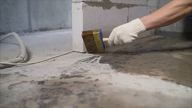 24/7 Emergency Wet Basement Repair experts in Buchanan, MI